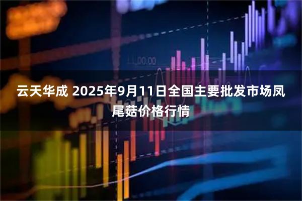 云天华成 2025年9月11日全国主要批发市场凤尾菇价格行情