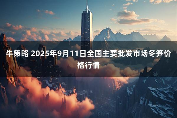 牛策略 2025年9月11日全国主要批发市场冬笋价格行情