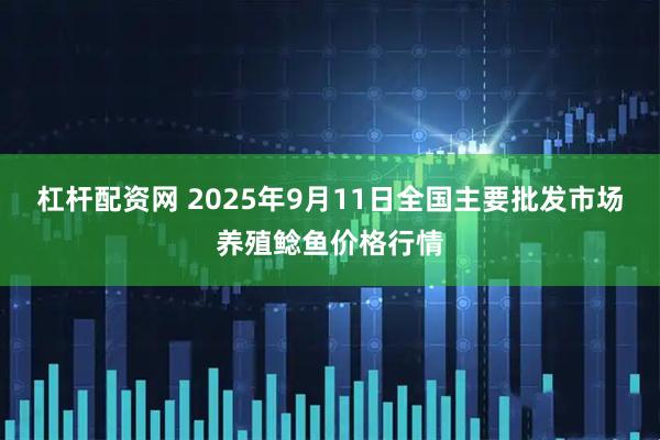 杠杆配资网 2025年9月11日全国主要批发市场养殖鲶鱼价格行情