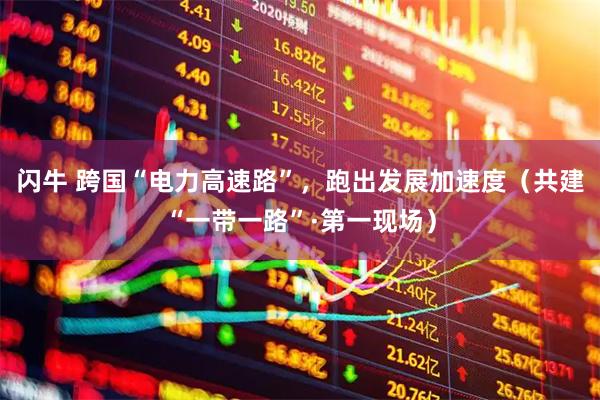 闪牛 跨国“电力高速路”，跑出发展加速度（共建“一带一路”·第一现场）