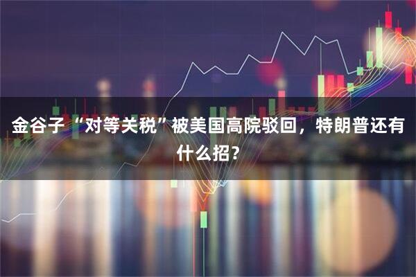 金谷子 “对等关税”被美国高院驳回，特朗普还有什么招？