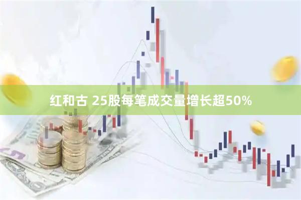 红和古 25股每笔成交量增长超50%